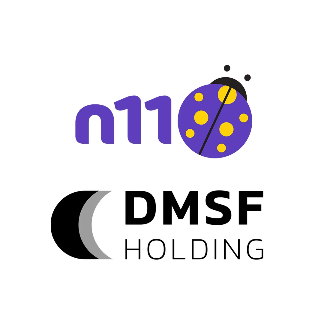 dmsf holding, n11'i satın alıyor